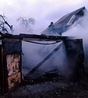У Кривому Розі за тиждень відловили 46 безпритульних собак