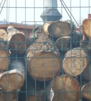 «Нічого не росте, діти кашляють»: у Рожищі люди потерпають від підприємства (відео)