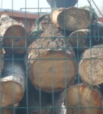 «Нічого не росте, діти кашляють»: у Рожищі люди потерпають від підприємства (відео)