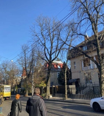 Впродовж трьох днів у Львові синоптики прогнозують пориви вітру до 20 м/с