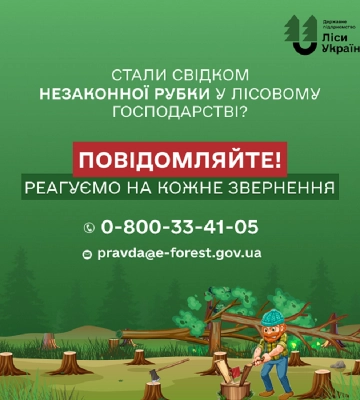 Якщо ви стали свідком незаконної рубки  в лісовому господарстві, повідомляйте про це на гарячу лінію ДП “Ліси України”