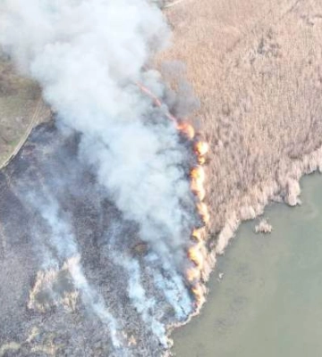 На озері в Одеській області сталася пожежа