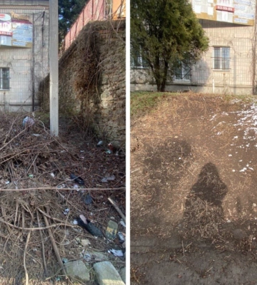 Рівняни скаржаться на господарів, які не прибирають зрізане гілля