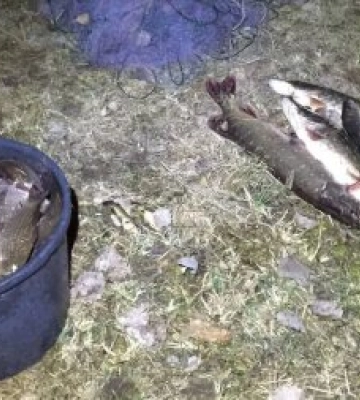 На Житомирщині порушник правил рибальства незаконно виловив понад 30 кілограмів риби