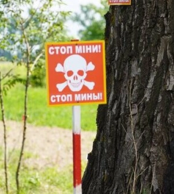 Через детонацію снаряду у селі на Миколаївщині травмувалася дитина