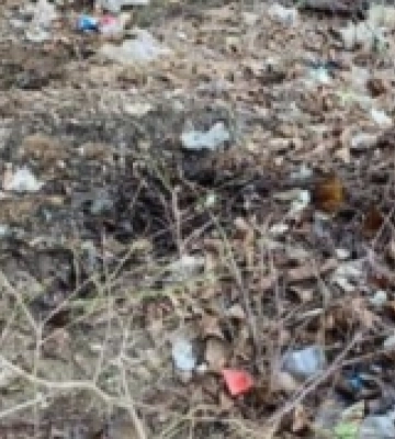 На Ужгородщині виявили стихійні смітники, які забруднюють питну воду