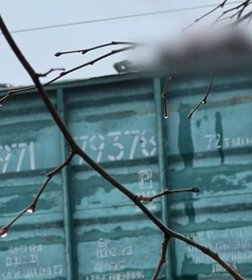 На Київщині від удару струмом загинув підліток