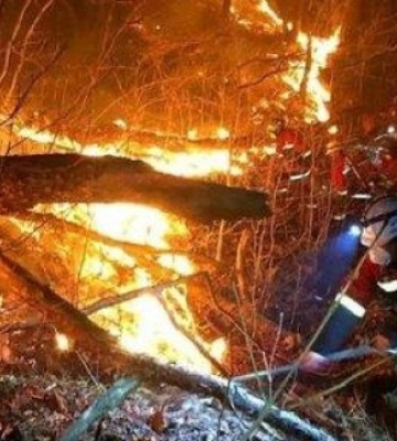 У Південній Кореї згоріли понад 900 тисяч гектарів лісу, є загиблий