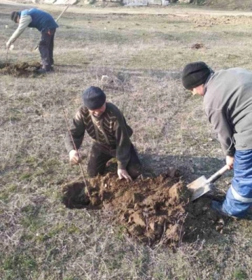 На Одещині висадили триста дерев мигдалю