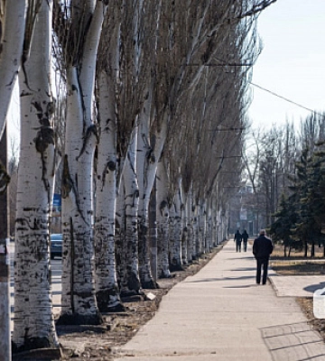 Погода в Кривом Роге 13 марта