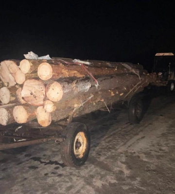 На Рівненщині поліцейські продовжують фіксувати незаконні порубки лісу
