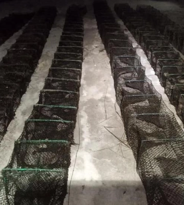 На Полтавщині браконьєри незаконно виловлювали раків