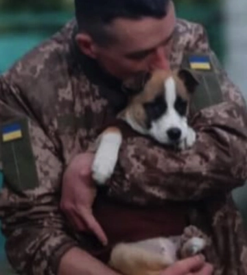 Скавчав під завалами два дні: військовий передав цуценя з Бахмута в Запоріжжя