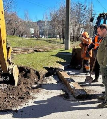 Старт сезону гарячого асфальтування, ремонти дощоприймачів і порятунок чотирилапих переселенців: інспекція чергового по місту