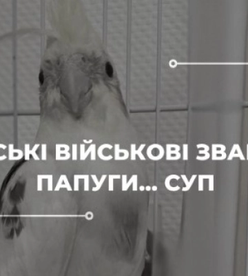 «Кури вижили, бо мовчали. А от папугу з’їли…» – історія окупації села Боромля