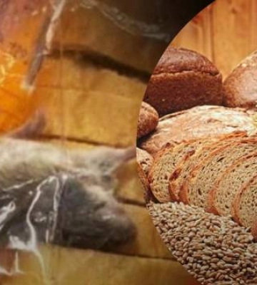 Як мертва миша потрапила у хліб в київському магазині