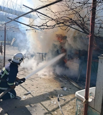 В Одеській області на пожежі врятували кота, - ФОТО, ВІДЕО