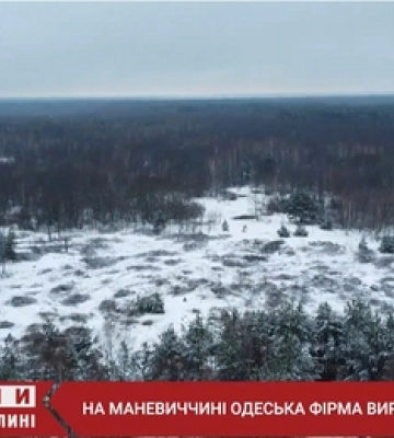 На Маневиччині одеська фірма вирубує 40-річний ліс (відео)