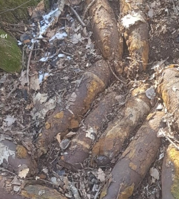 На Сумщині піротехніки ДСНС виявили та знищили 10 вибухонебезпечних предметів