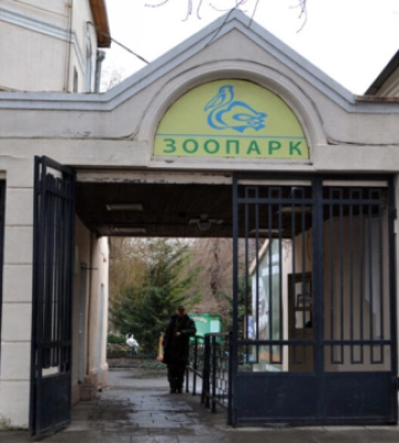 Одесити допомагають облаштовувати зоопарк та підтримують тварин грошима
