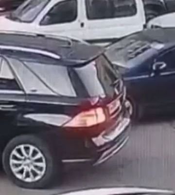 В Одесі водій автівки переїхав собаку та залишил її помирати, - ВІДЕО