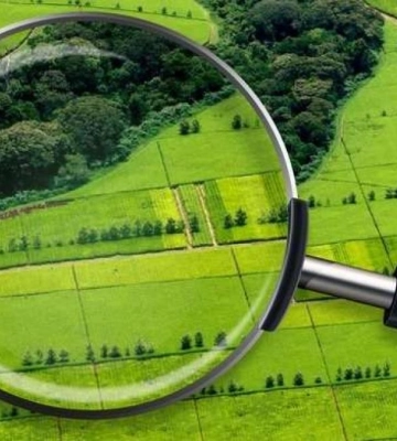 Рівненська прокуратура вимагає конфіскувати земельні ділянки у громадян рф та білорусі