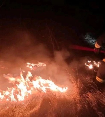 На Рівненщині у двох районах горіла суха трава та чагарники (ФОТО, ВІДЕО)