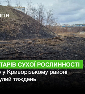 За минулий тиждень у Криворізькому районі згоріло 20 гектарів сухої рослинності