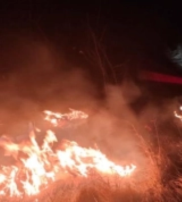 На Рівненщині у двох районах горіла суха трава та чагарники (ФОТО, ВІДЕО)
