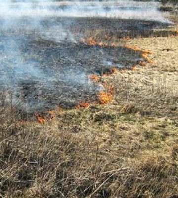 На Полтавщині за добу вигоріло понад 8 гектарів сухої трави
