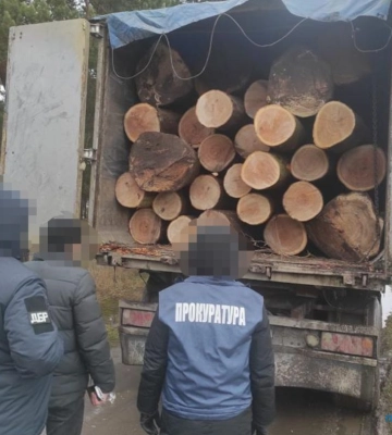 Ексчлен громадської ради Львівського управління лісового господарства організував групу з вирубування лісу