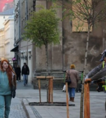 У центрі Львова висадять «кліматичні» дерева