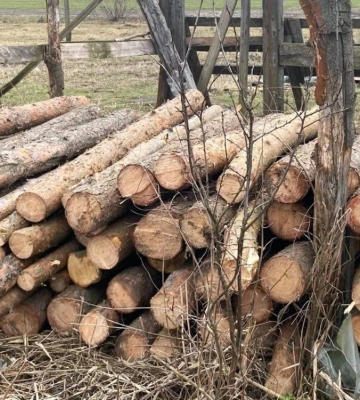 На Рівненщині поліцейські вилучили майже 10 кубів незаконної деревини