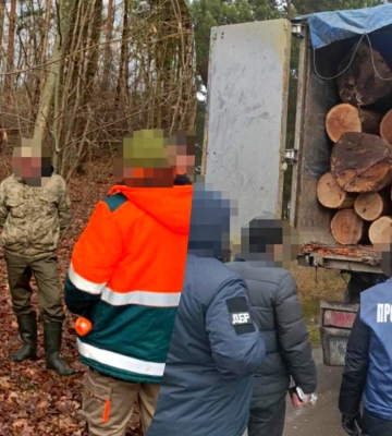 Масштабні рубки на Заході України: викрито посадовців лісництва