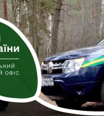 230 тисяч гривень збитку: що відомо про самовільну вирубку у волинських лісах