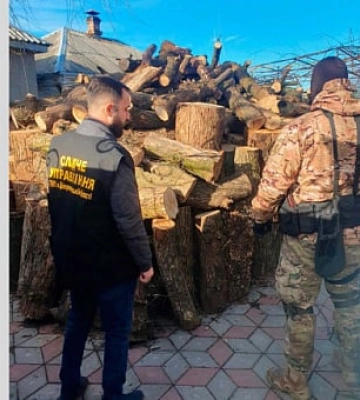 На Днепропетровщине задержали преступную группу, вырубившую леса на 2 миллиона гривен
