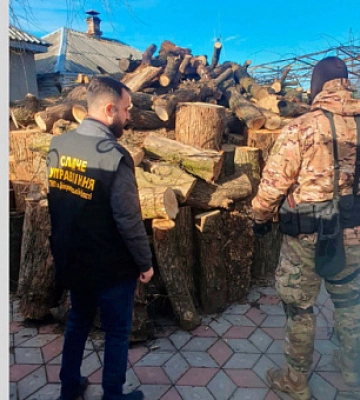На Дніпропетровщині учасники організованої групи незаконно нарубали лісу на ₴2 млн.