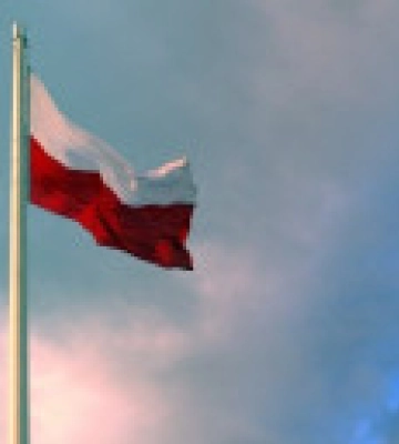 Несколько стран готовы передать Украине истребители МиГ-29 - спикер правительства Польши