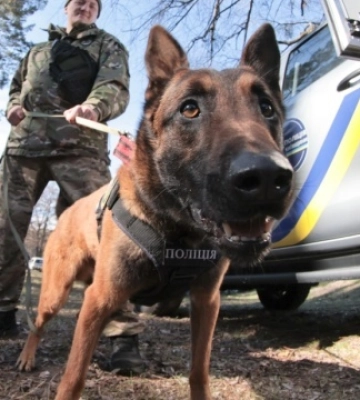 У поліції Київщини виконують різні завдання 55 службових собак