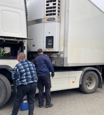 Закарпатські митники не дозволили вивезти лісоматеріали та напівпричіп з перебитими номерами