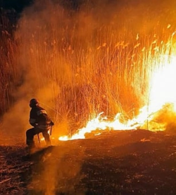 Рятувальники Дніпропетровщині за добу загасили сім масштабних пожеж, – горіла суха трава