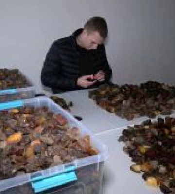 За три роки легальний видобуток бурштину на Рівненщині зріс у 15 разів