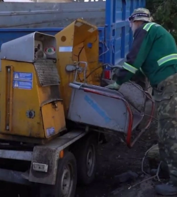У Миколаєві комунальники проводять аварійну обрізку дерев