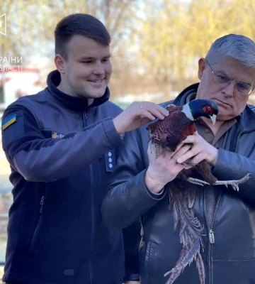 В Одесі працівники ДСНС врятували красивого птаха