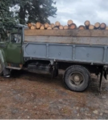 У Рівненському районі водій без документів віз незаконну деревину