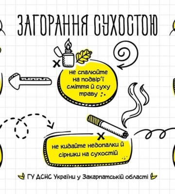 Закарпатців закликають не спалювати суху рослинність і сміття