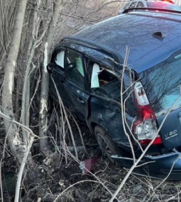 На Рівненщині п’яний водій злетів у кювет і врізався у дерево