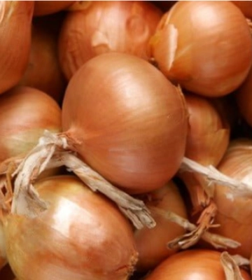 Цены на продукты в Киеве: сколько сейчас стоит лук