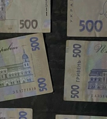 Спиляв кілька кленів та намагався дати хабар поліції: жителю Одещини загрожує ув&#039;язнення