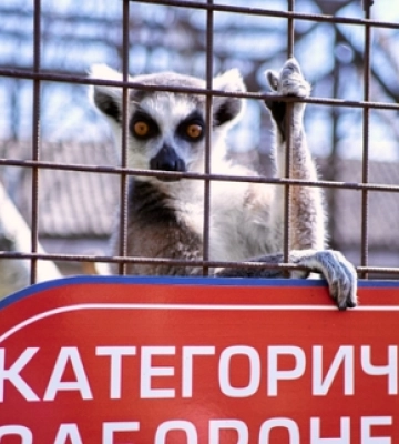 Як перезимував Луцький зоопарк і чому здорожчає квиток